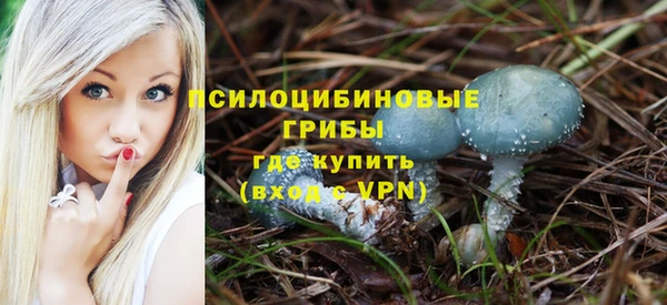 2c-b Бородино