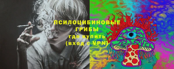 2c-b Бородино