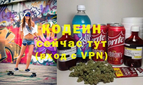 2c-b Бородино