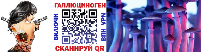 купить закладку  Выборг  Галлюциногенные грибы Psilocybe 