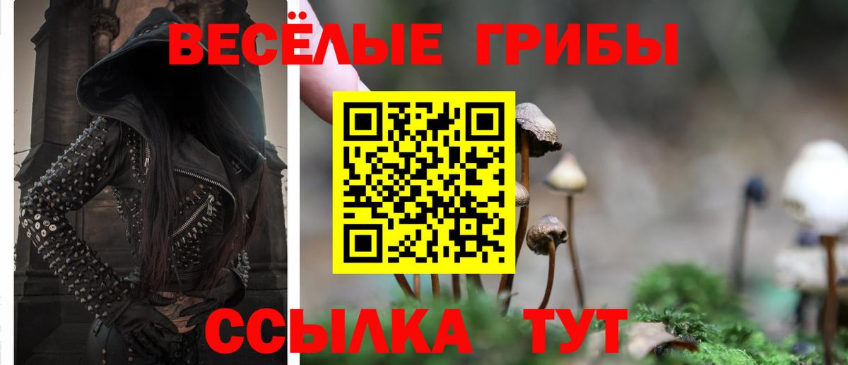 Псилоцибиновые грибы прущие грибы  Вход с VPN  Выборг 